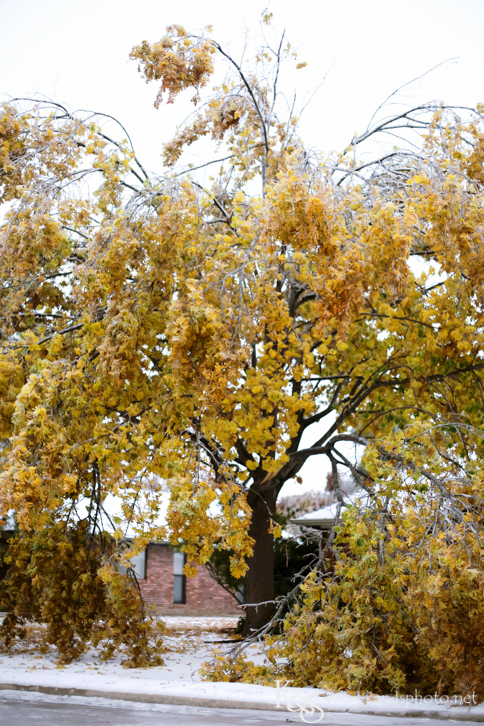 Dallas Wedding Photographers - K & S Photography